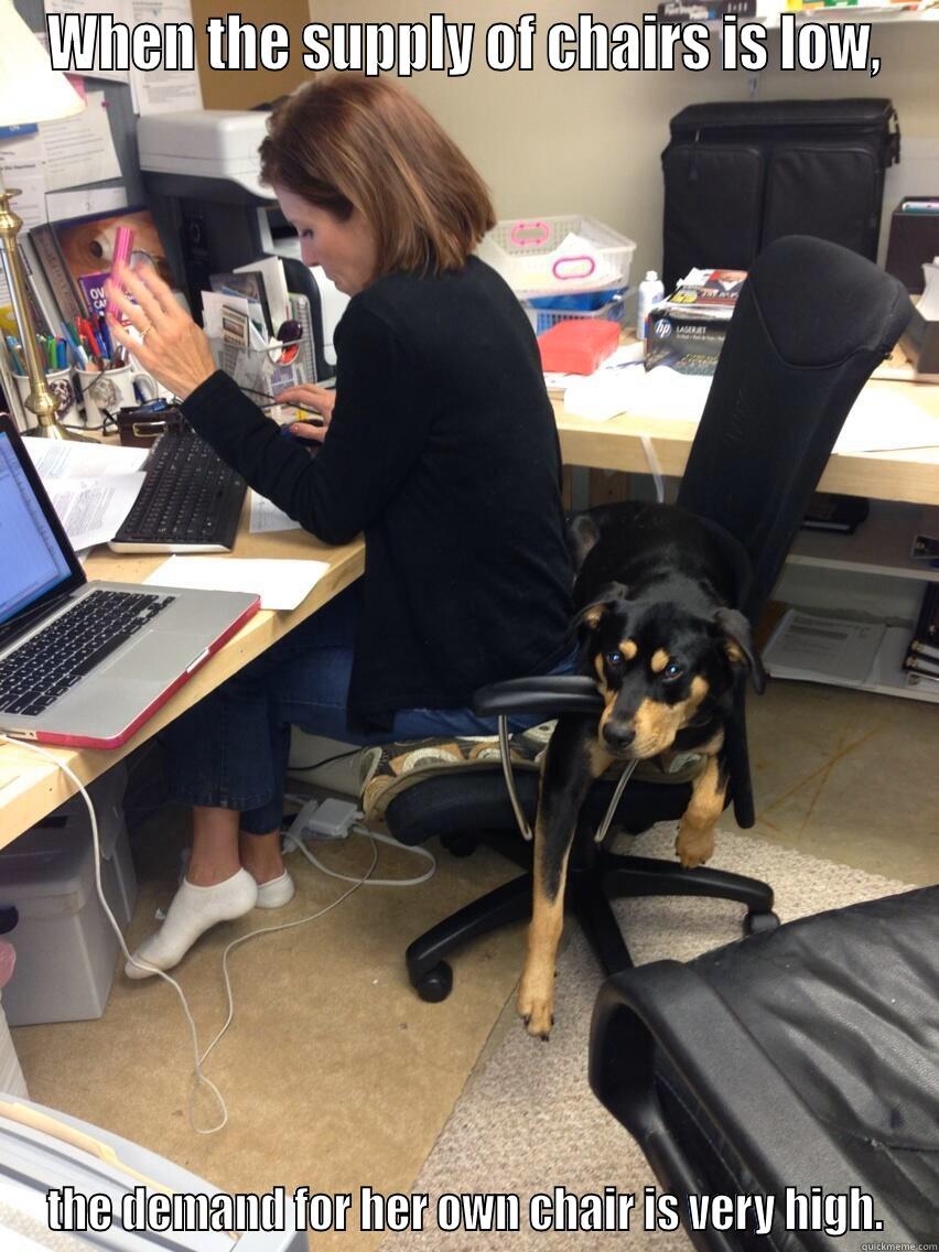 supply/demand meme - WHEN THE SUPPLY OF CHAIRS IS LOW, THE DEMAND FOR HER OWN CHAIR IS VERY HIGH. Misc