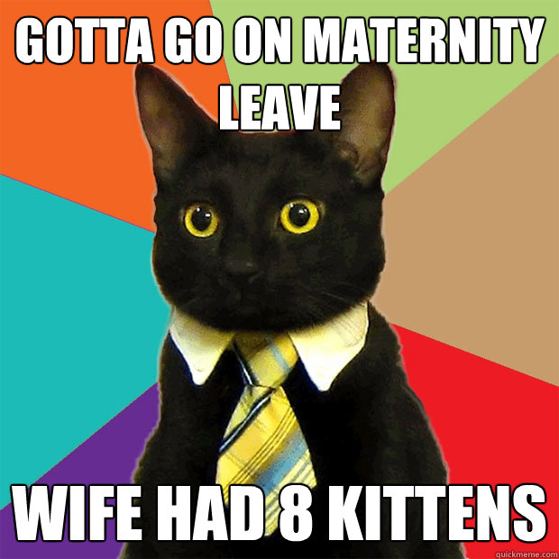 Gotta Go on Maternity Leave Wife had 8 kittens - Gotta Go on Maternity Leave Wife had 8 kittens  Business Cat