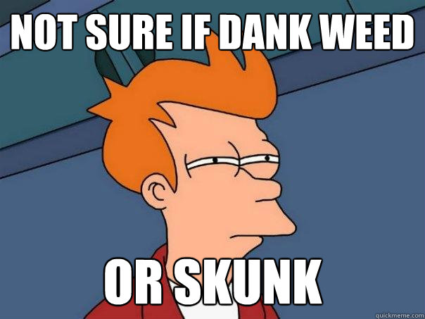 Not sure if Dank weed or skunk  Futurama Fry