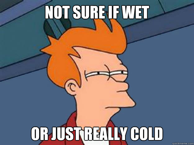 Not sure if wet or just really cold  Unsure Fry