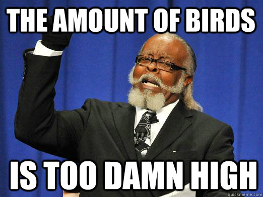 the amount of birds is too damn high  