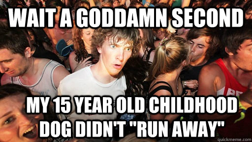 wait a goddamn second my 15 year old childhood dog didn't 