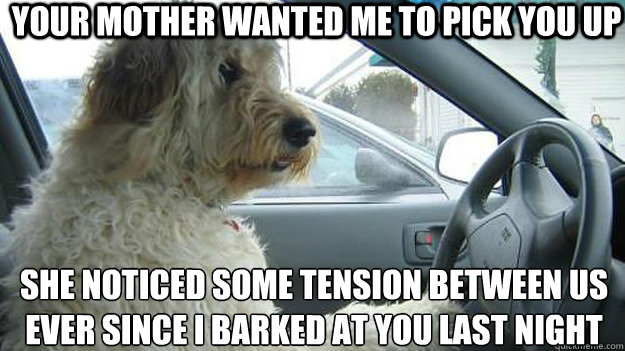 your mother wanted me to pick you up she noticed some tension between us ever since i barked at you last night
 Ruff  