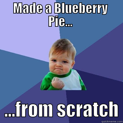 MADE A BLUEBERRY PIE...   ...FROM SCRATCH Success Kid