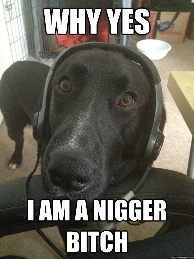 why yes i am a nigger bitch - why yes i am a nigger bitch  Halo Dog