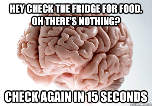 Hey check the fridge for food. Oh there's nothing? Check again in 15 seconds - Hey check the fridge for food. Oh there's nothing? Check again in 15 seconds  Scumbag Brain