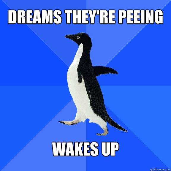 Dreams they're peeing Wakes up  Socially Awkward Penguin
