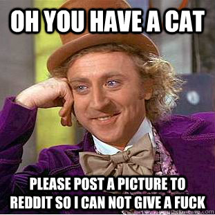 Oh you have a cat please post a picture to reddit so i can not give a fuck  Condescending Wonka