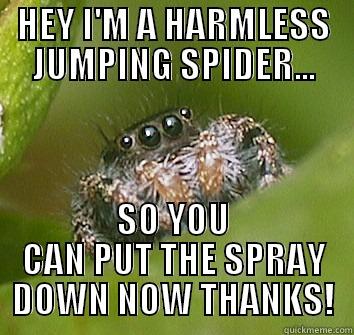 HEY I'M A HARMLESS JUMPING SPIDER... SO YOU CAN PUT THE SPRAY DOWN NOW THANKS! Misunderstood Spider