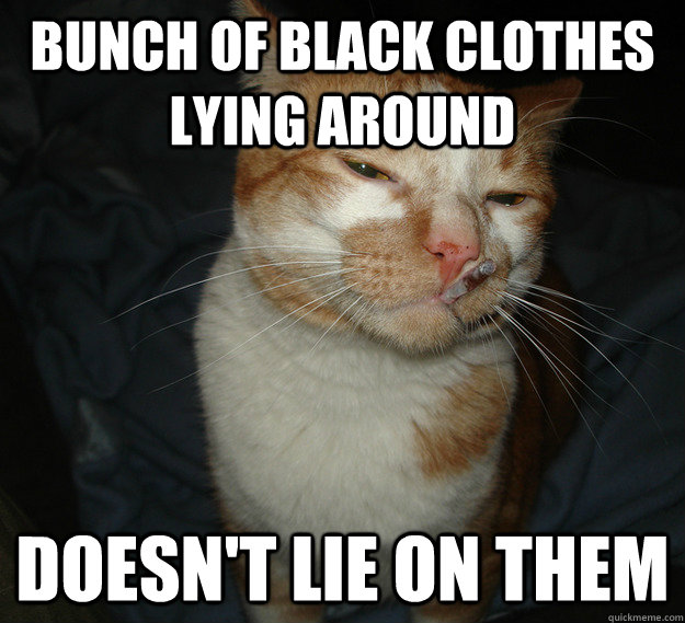 bunch of black clothes lying around doesn't lie on them  Good Guy Cat