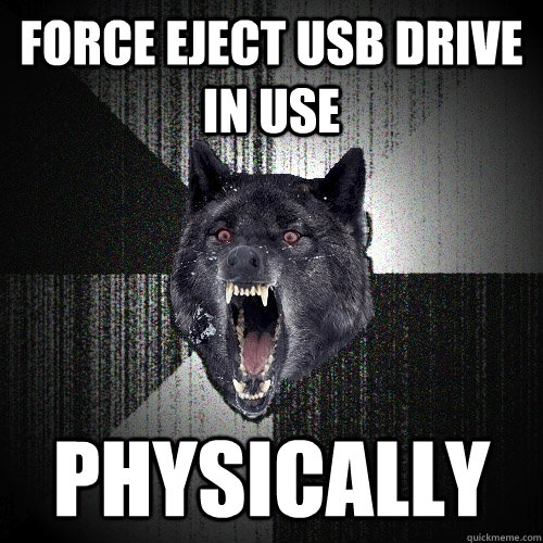 FORCE EJECT USB DRIVE IN USE PHYSICALLY  Insanity Wolf