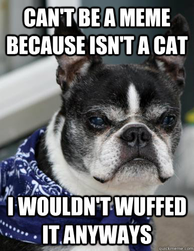 Can't be a meme because isn't a cat i wouldn't wuffed it anyways  