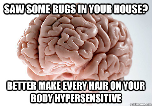 saw some bugs in your house? better make every hair on your body hypersensitive  Scumbag Brain