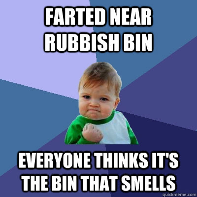 Farted near rubbish bin Everyone thinks it's the bin that smells - Farted near rubbish bin Everyone thinks it's the bin that smells  Success Kid