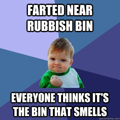 Farted near rubbish bin Everyone thinks it's the bin that smells  Success Kid