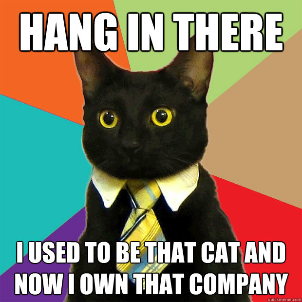 Hang in there  I used to be that cat and now I own that company  Business Cat