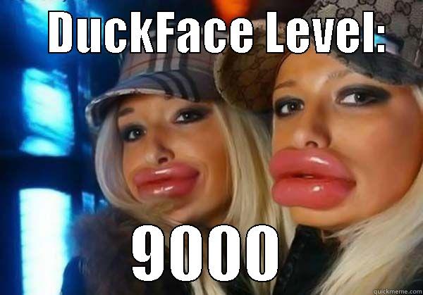      DUCKFACE LEVEL:     9000 Misc