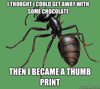 I thought I could get away with some chocolate then I became a thumb print  