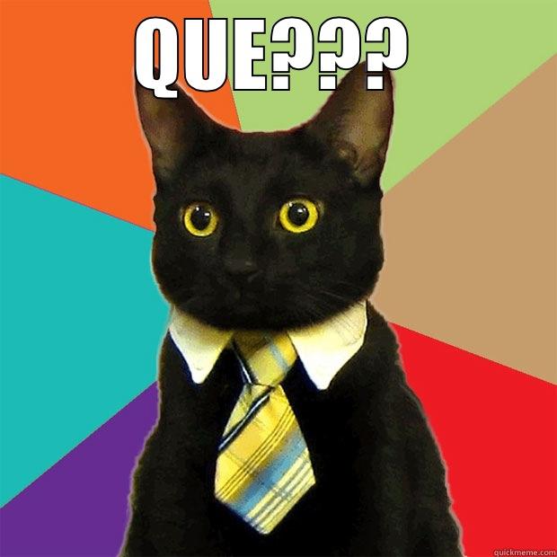 QUE???  Business Cat