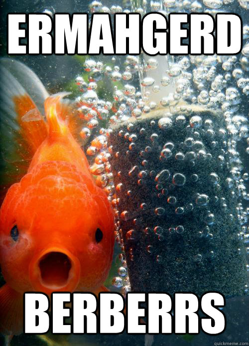 Ermahgerd berberrs - Ermahgerd berberrs  Berks Fish