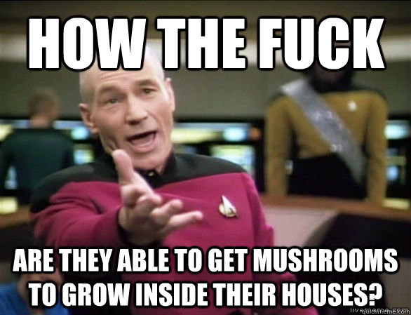 how the fuck are they able to get mushrooms to grow inside their houses?  Annoyed Picard HD