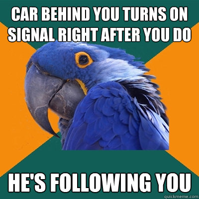 Car behind you turns on signal right after you do He's following you  Paranoid Parrot