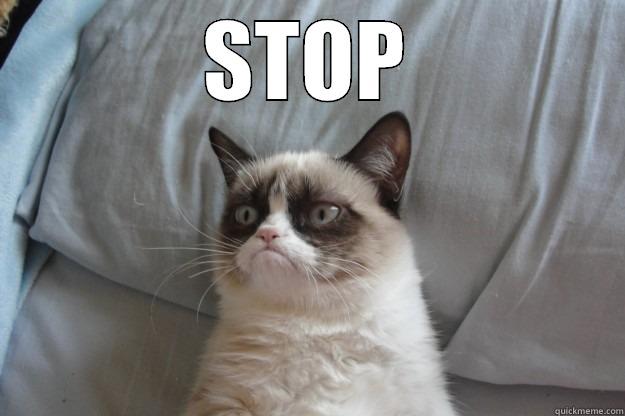 Grumpy Cat memes | quickmeme