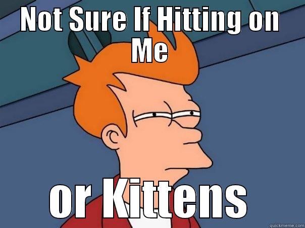 NOT SURE IF HITTING ON ME OR KITTENS Futurama Fry
