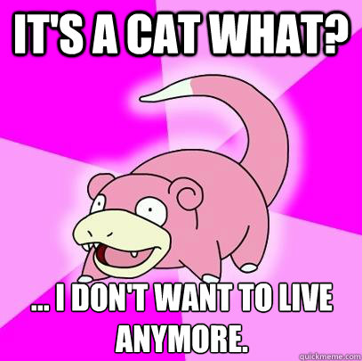 It's a cat what? ... I don't want to live anymore.  Slowpoke