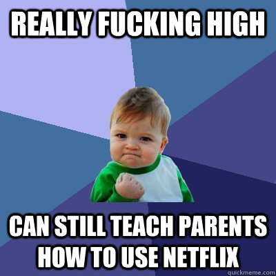 Really fucking high Can still teach parents how to use netflix  Success Kid