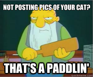 not posting pics of your cat? that's a paddlin'  Paddlin Jasper