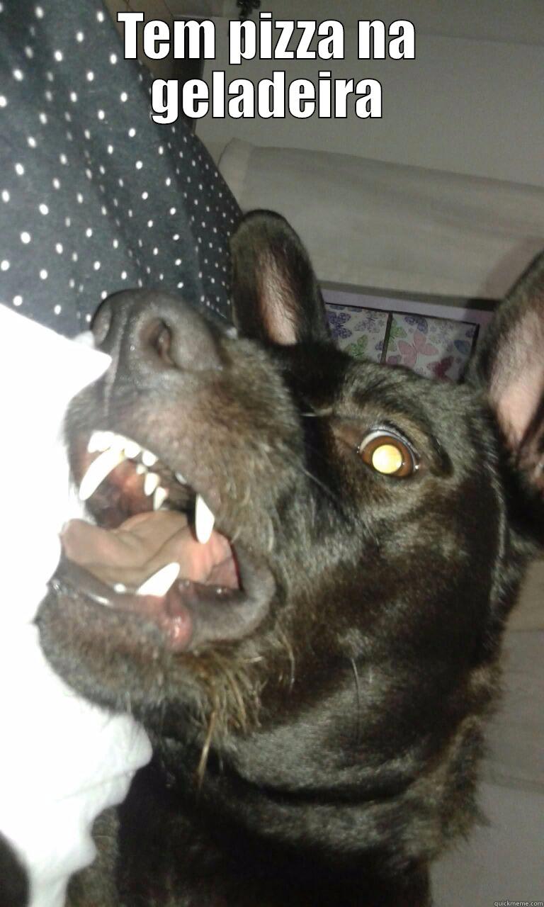 TEM PIZZA NA GELADEIRA  Misc