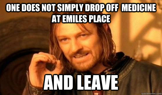 One Does Not Simply DROP OFF  MEDICINE AT EMILES PLACE and leave  Boromir