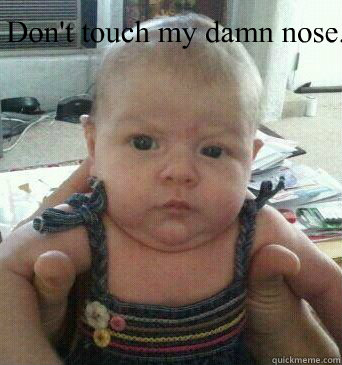 Don't touch my damn nose. - Don't touch my damn nose.  Misc