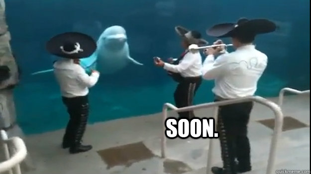 SOON. - SOON.  Soon mariachi.