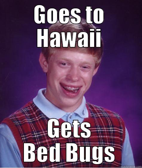 GOES TO HAWAII GETS BED BUGS Bad Luck Brian