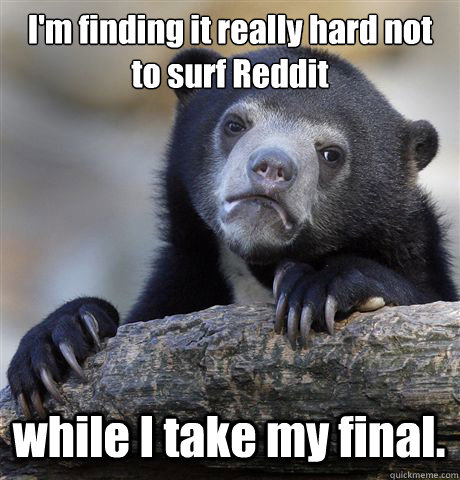 I'm finding it really hard not to surf Reddit while I take my final.  Confession Bear