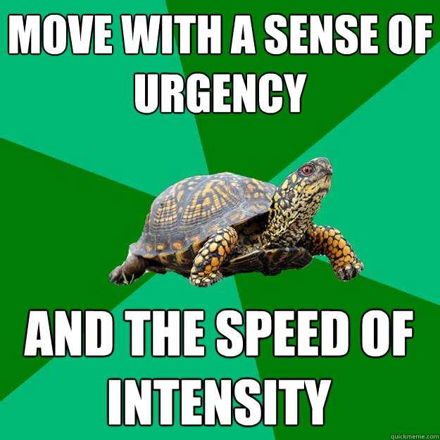 move with a sense of urgency and the speed of intensity - move with a sense of urgency and the speed of intensity  Torrenting Turtle