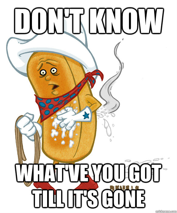 Don't know What've you got till it's gone - Don't know What've you got till it's gone  Twinkie the Kid