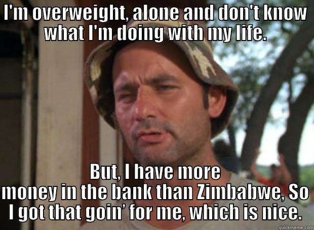 I'M OVERWEIGHT, ALONE AND DON'T KNOW WHAT I'M DOING WITH MY LIFE. BUT, I HAVE MORE MONEY IN THE BANK THAN ZIMBABWE, SO I GOT THAT GOIN’ FOR ME, WHICH IS NICE. Misc