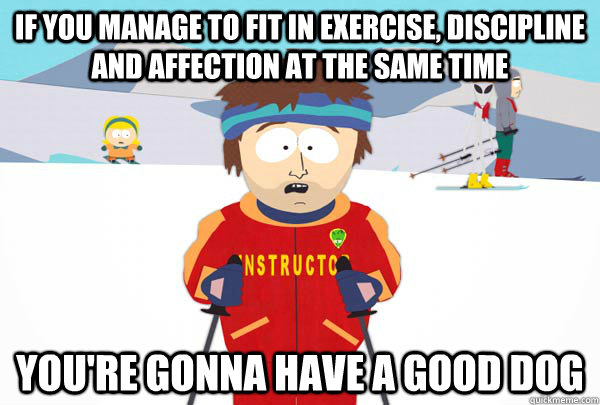 If you manage to fit in exercise, discipline and affection at the same time You're gonna have a good dog  Super Cool Ski Instructor