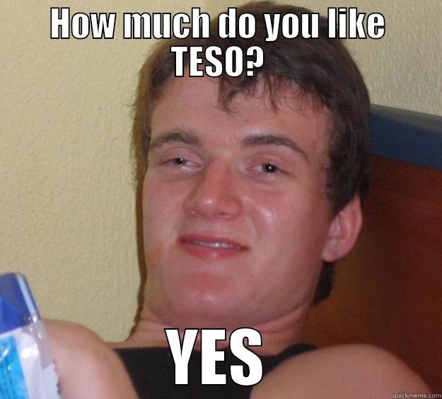 HOW MUCH DO YOU LIKE TESO? YES 10 Guy
