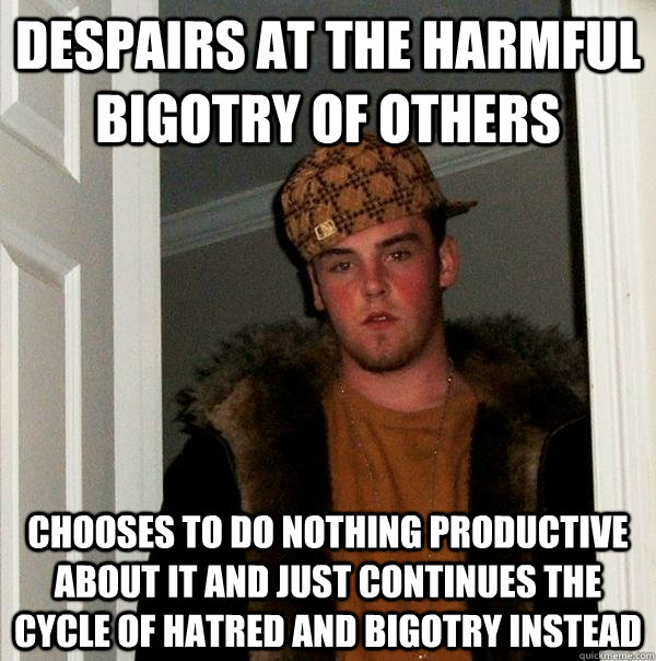 despairs at the harmful bigotry of others chooses to do nothing productive about it and just continues the cycle of hatred and bigotry instead  Scumbag Steve