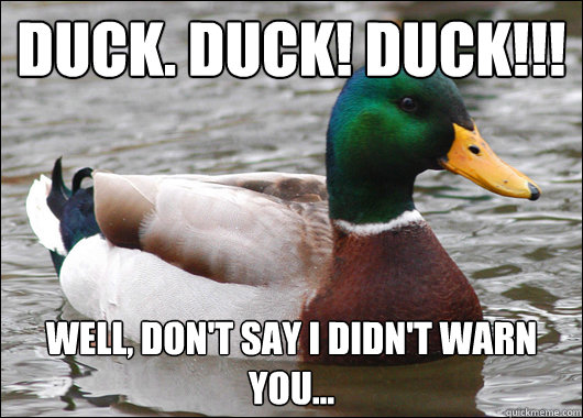Duck. Duck! Duck!!! Well, don't Say I didn't warn you...  Actual Advice Mallard