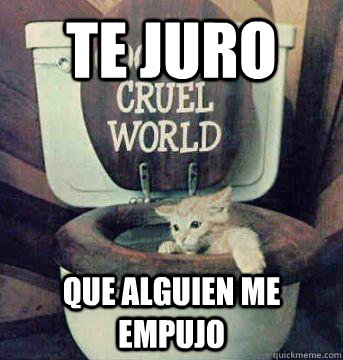 te juro que alguien me empujo  Goodbye Cat