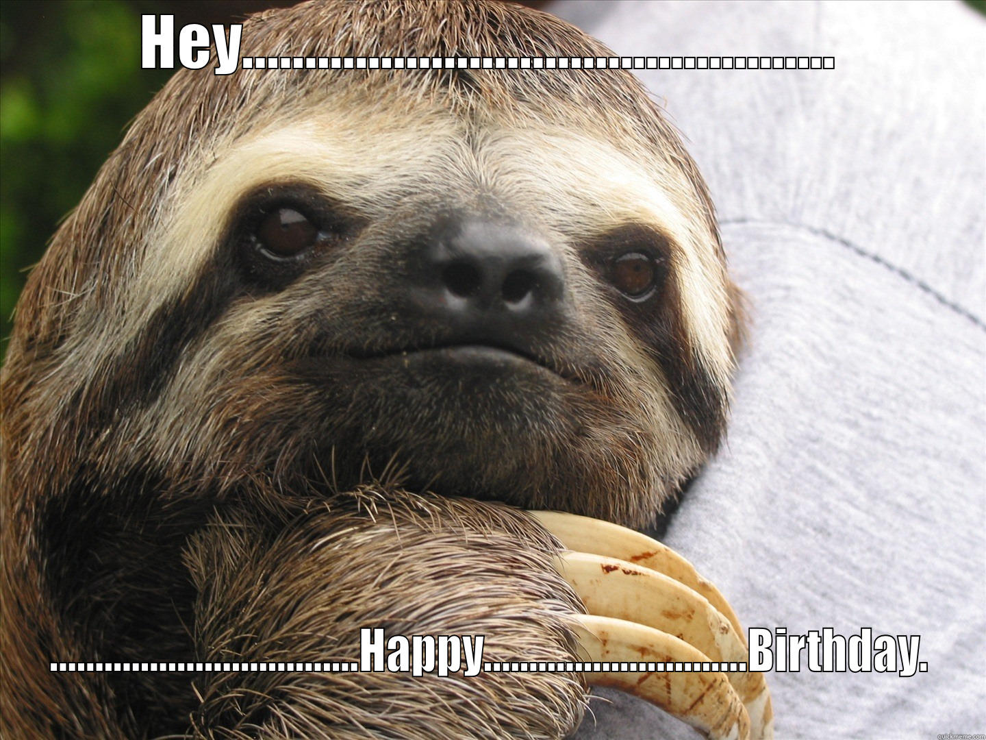 Birthday Sloth - HEY............................................... ..................................HAPPY.............................BIRTHDAY. Misc