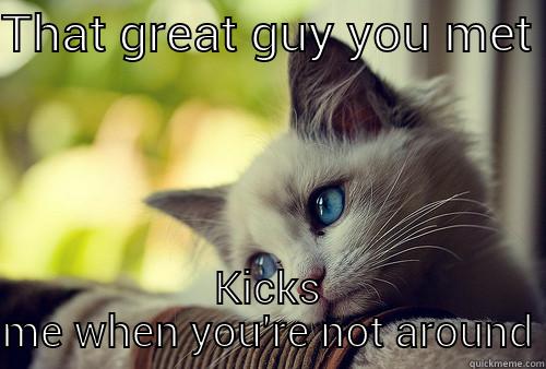 THAT GREAT GUY YOU MET  KICKS ME WHEN YOU'RE NOT AROUND First World Problems Cat