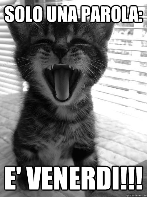 solo una parola: e' venerdi!!! - solo una parola: e' venerdi!!!  friday cat