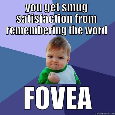 YOU GET SMUG SATISFACTION FROM REMEMBERING THE WORD  FOVEA Success Kid