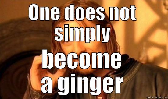 ONE DOES NOT SIMPLY BECOME A GINGER Boromir